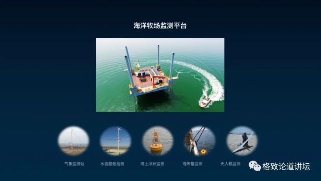 海参|除了能提高人体免疫力，这个“肥宅”还是海底清道夫