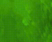 海参|除了能提高人体免疫力，这个“肥宅”还是海底清道夫