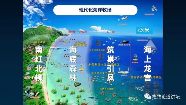 海参|除了能提高人体免疫力，这个“肥宅”还是海底清道夫