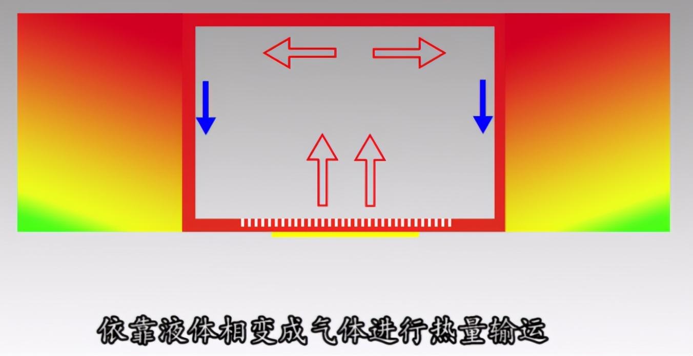 led大功率|想不到吧，科学家用这种方式照亮鸟巢