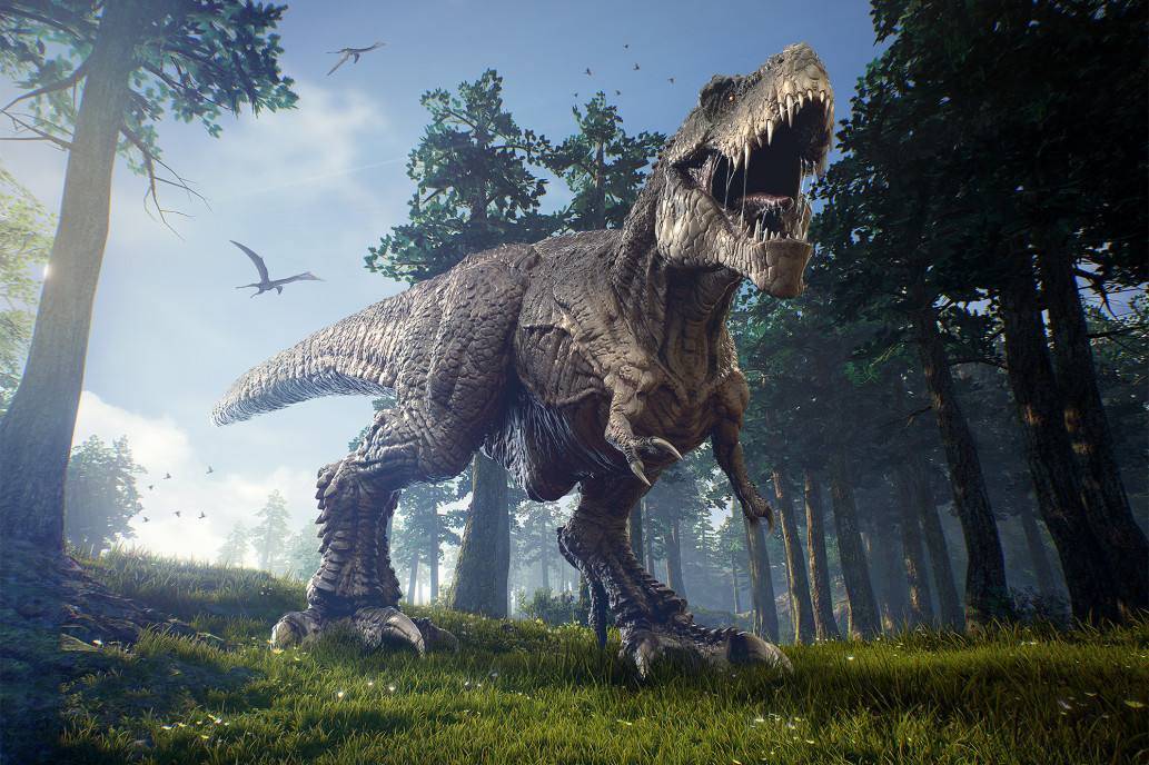 无性生殖|从进化论的角度看，为什么世界上要有男人和女人？