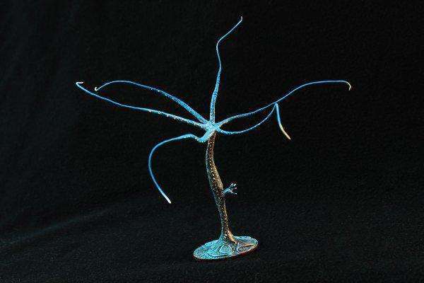 无性生殖|从进化论的角度看，为什么世界上要有男人和女人？