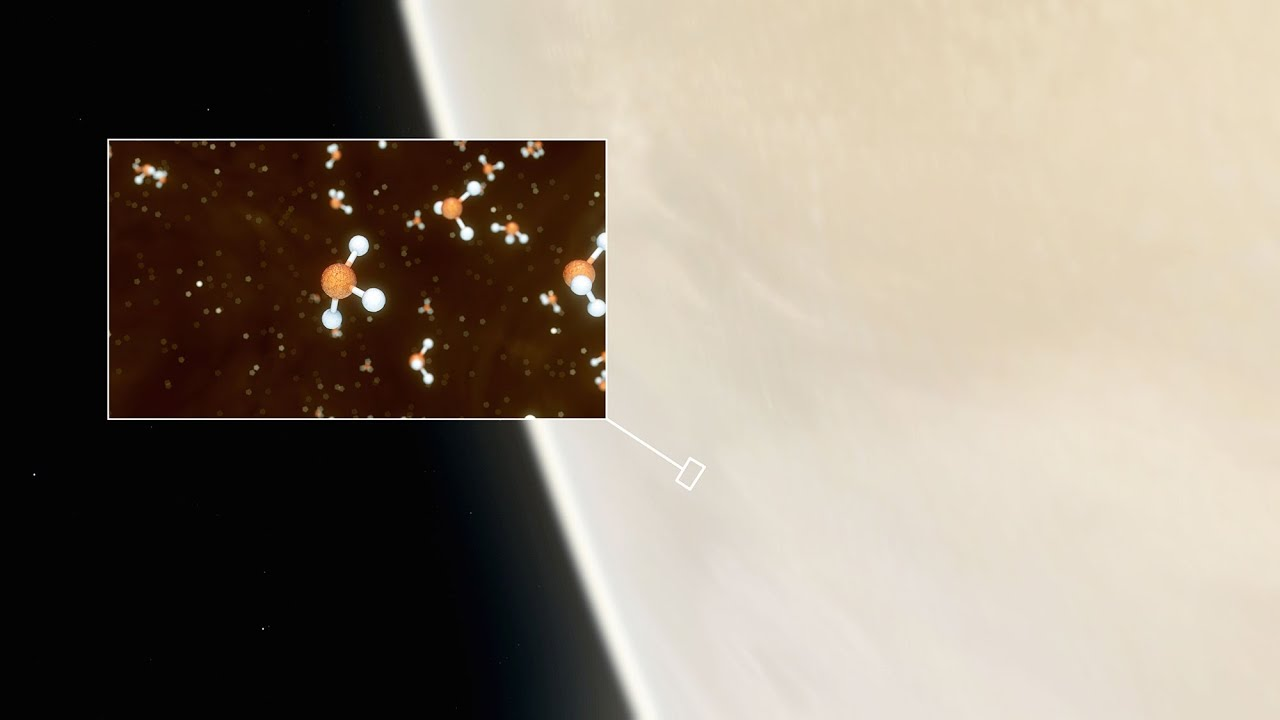 金星|金星是否可能存在生命？天文学家这么说