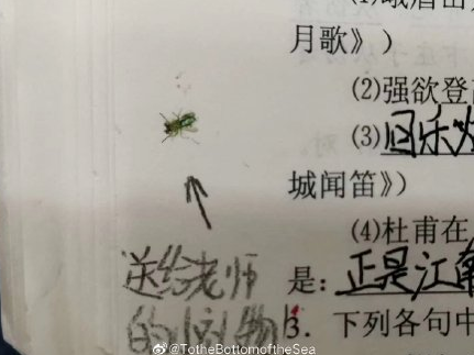 社会|哈哈哈哈！这些奇葩作业让老师看笑了！网友：隔屏感受到了老师的无奈｜特别关注