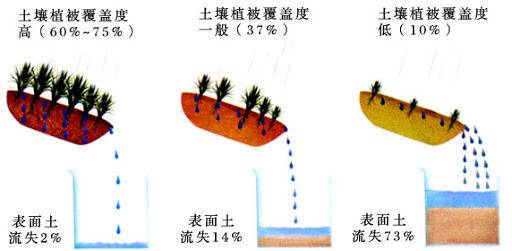 北大荒|北大仓为什么要退耕还荒，退耕后农民怎么办？