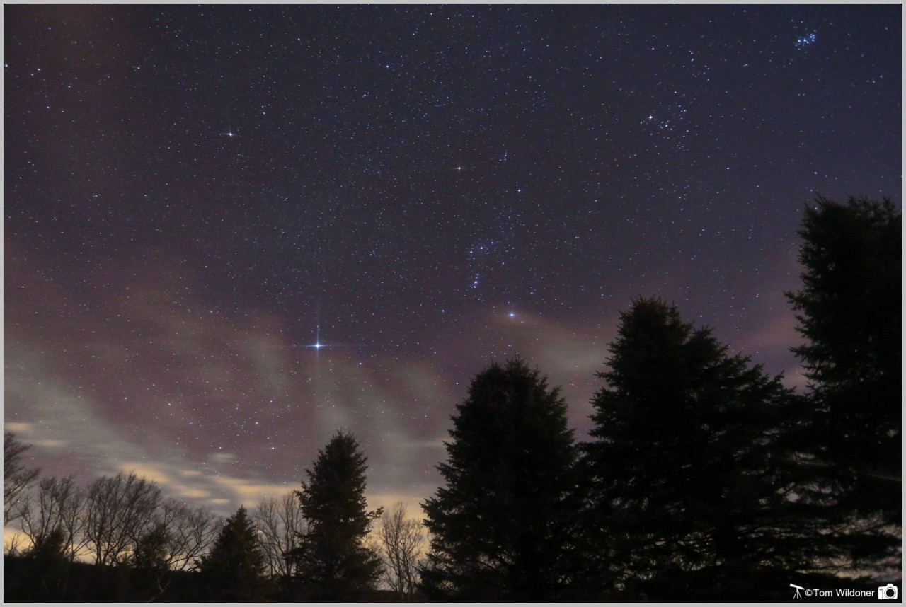 天狼星|注意观赏天狼星，它是夜空中最亮的恒星