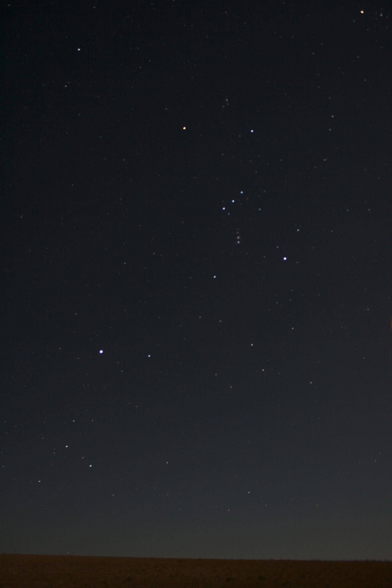 天狼星|注意观赏天狼星，它是夜空中最亮的恒星