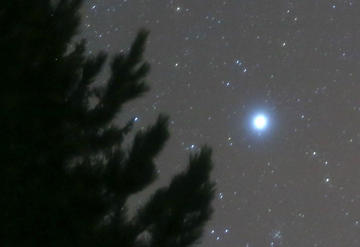 天狼星|注意观赏天狼星，它是夜空中最亮的恒星