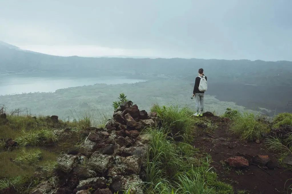 撒贝宁|撒贝宁坦言“厌倦”主持:工作,怎么选都是错的