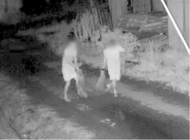 国际社会|日本一县家畜接连被盗，日媒暗示中国人干的，调查结果打脸！