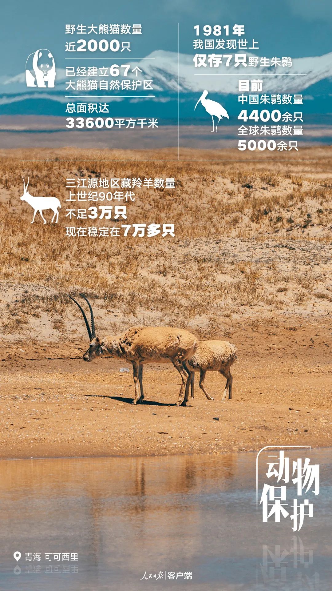 生态环境|这五年，中国更美丽（人民日报）