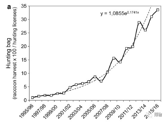 浣熊|浣熊可爱好想养?小心它挠你啊!