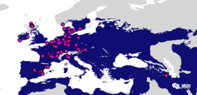 浣熊|浣熊可爱好想养?小心它挠你啊!