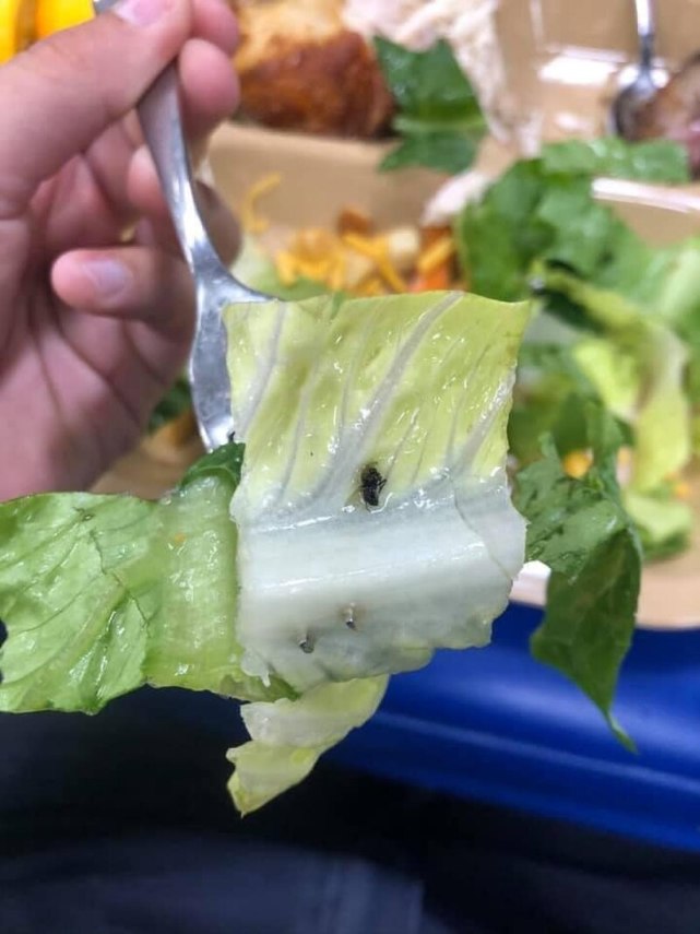 美军|美国大兵曝光美军可怕餐食:生菜包虫子、面包发霉