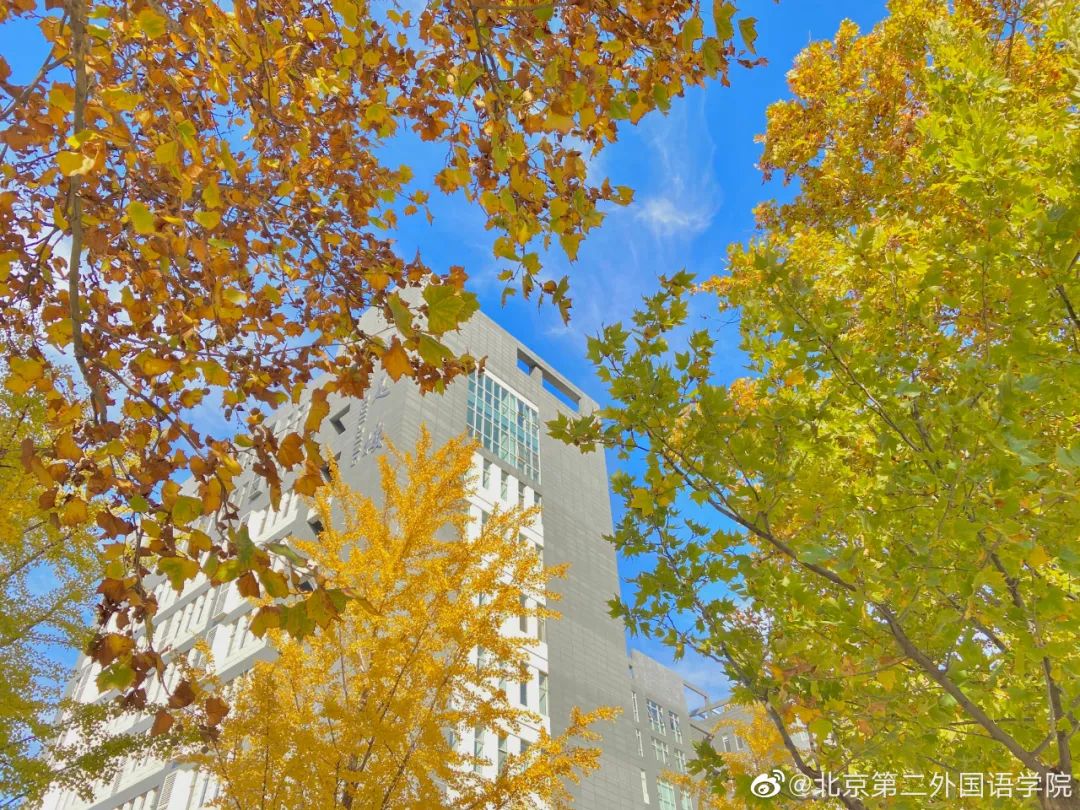 大学|高校“官宣”秋景来了，有你的校园记忆吗？