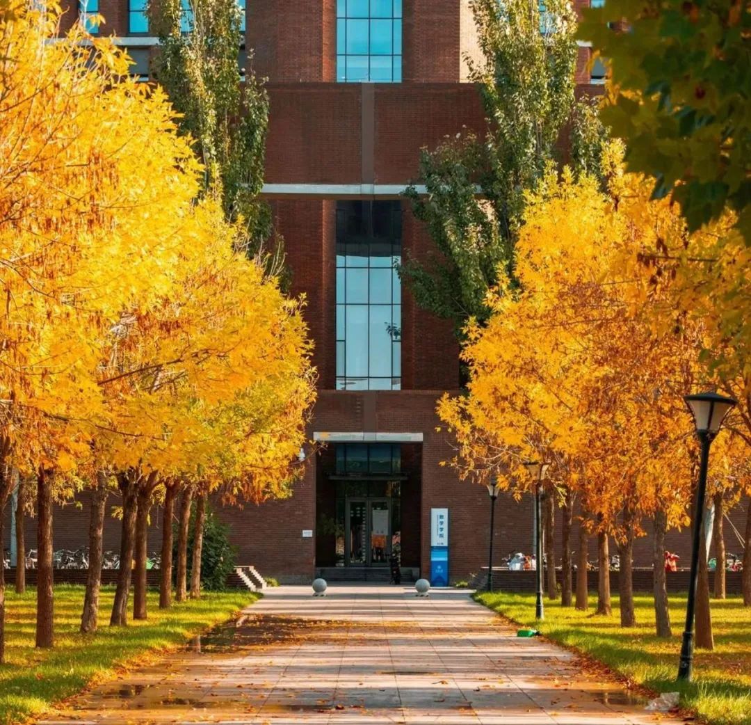 大学|高校“官宣”秋景来了，有你的校园记忆吗？