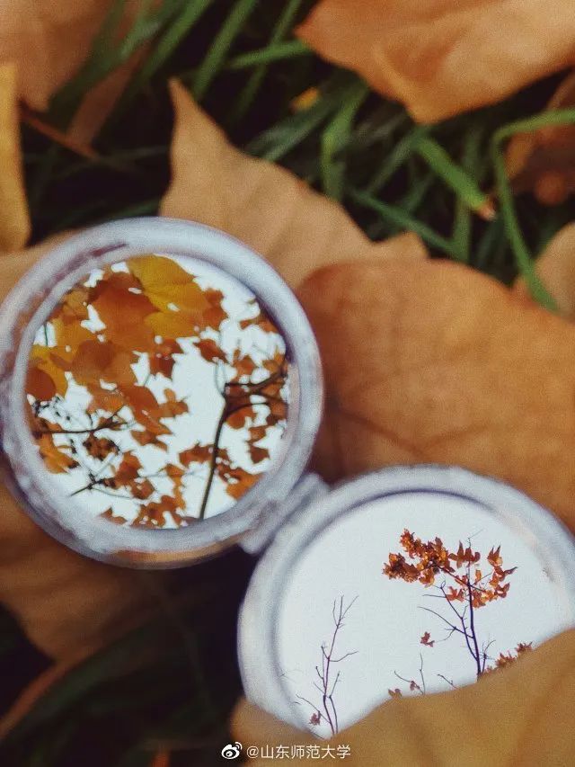 大学|高校“官宣”秋景来了，有你的校园记忆吗？