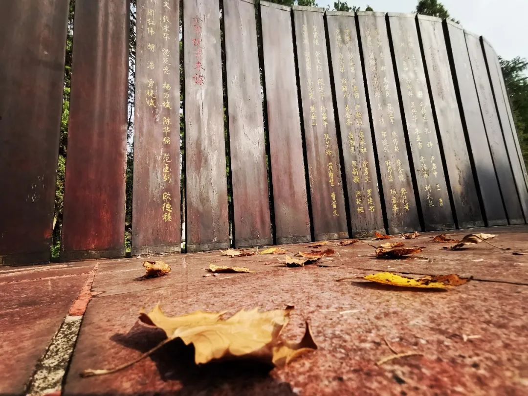 大学|高校“官宣”秋景来了，有你的校园记忆吗？