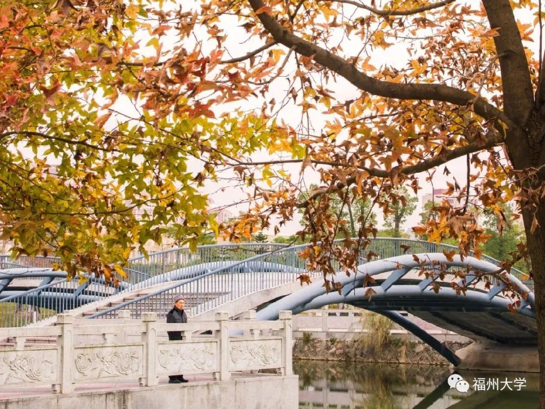 大学|高校“官宣”秋景来了，有你的校园记忆吗？