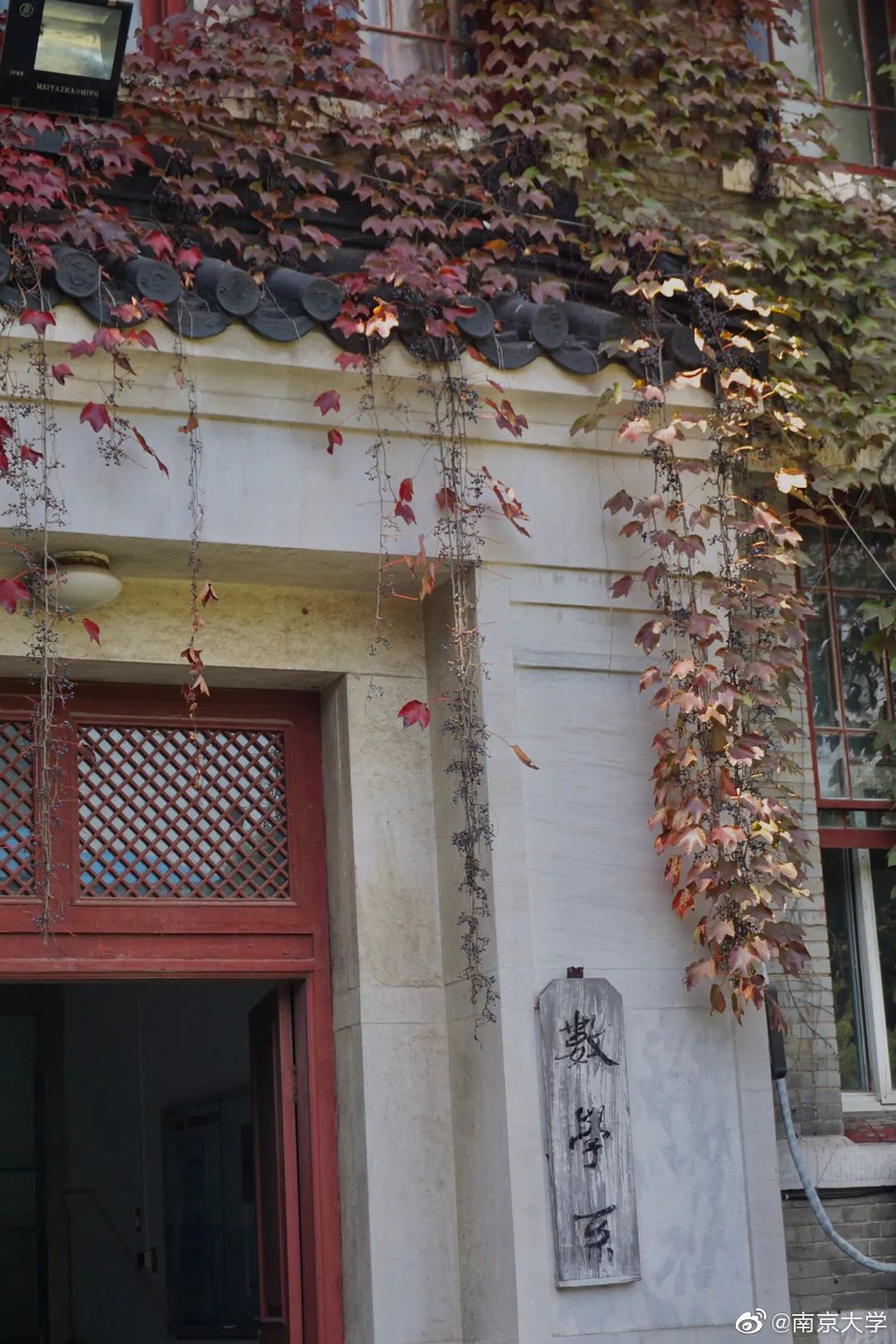 大学|高校“官宣”秋景来了，有你的校园记忆吗？