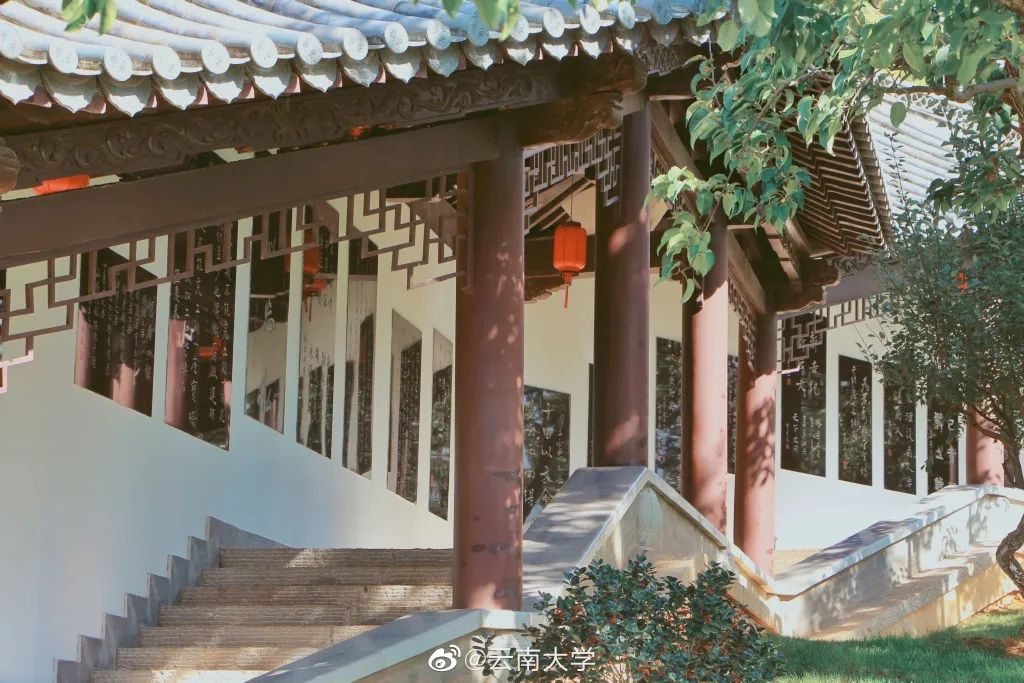 大学|高校“官宣”秋景来了，有你的校园记忆吗？