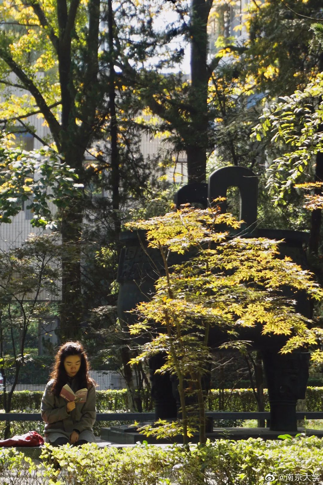 大学|高校“官宣”秋景来了，有你的校园记忆吗？