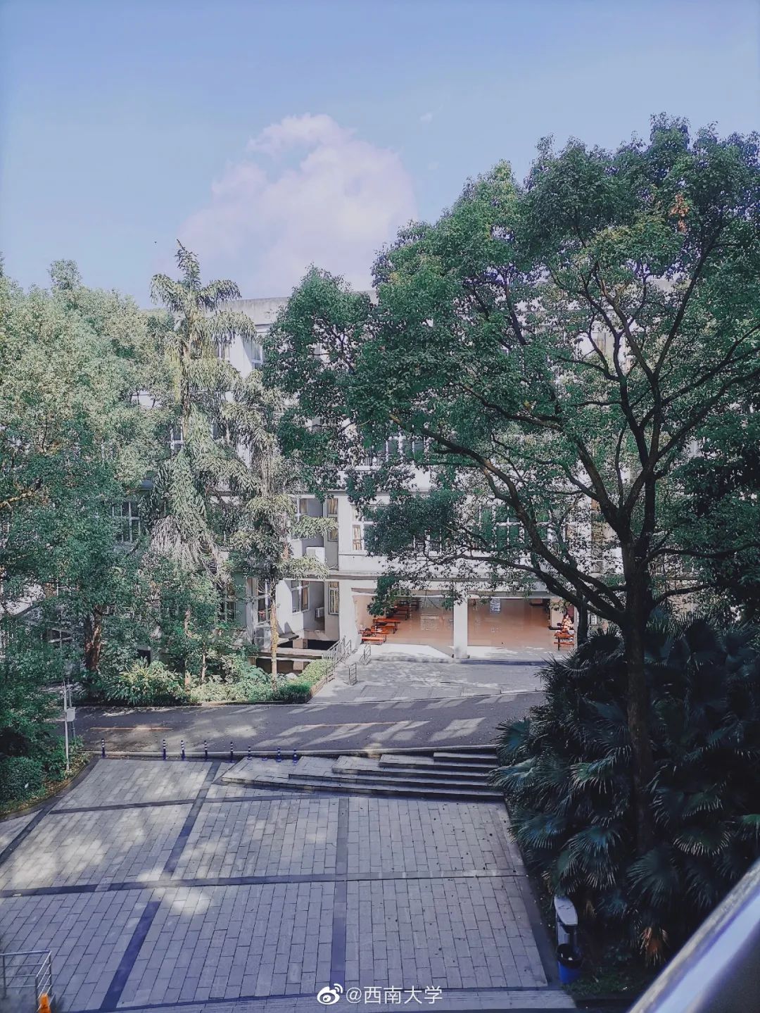 大学|高校“官宣”秋景来了，有你的校园记忆吗？