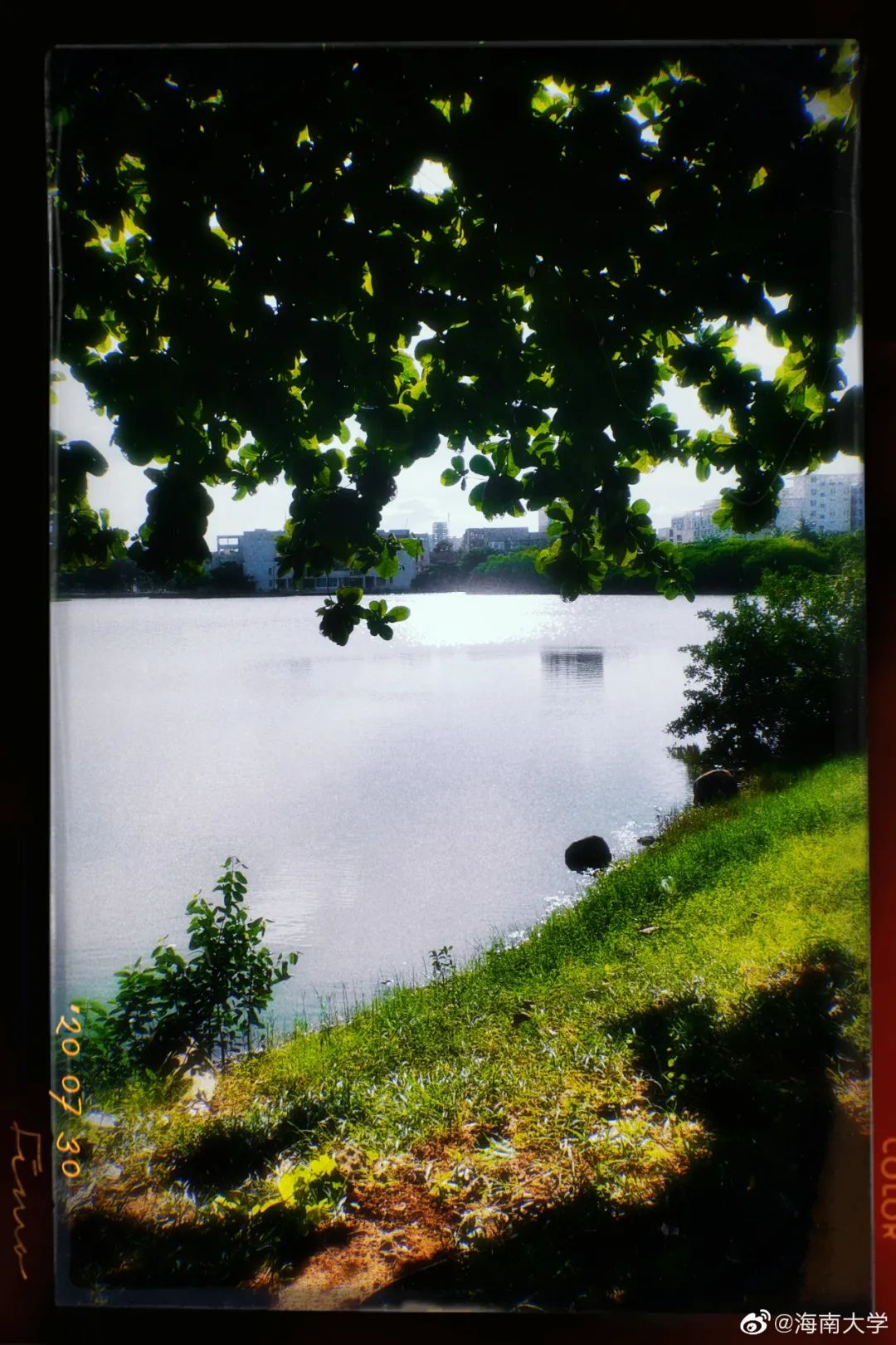 大学|高校“官宣”秋景来了，有你的校园记忆吗？