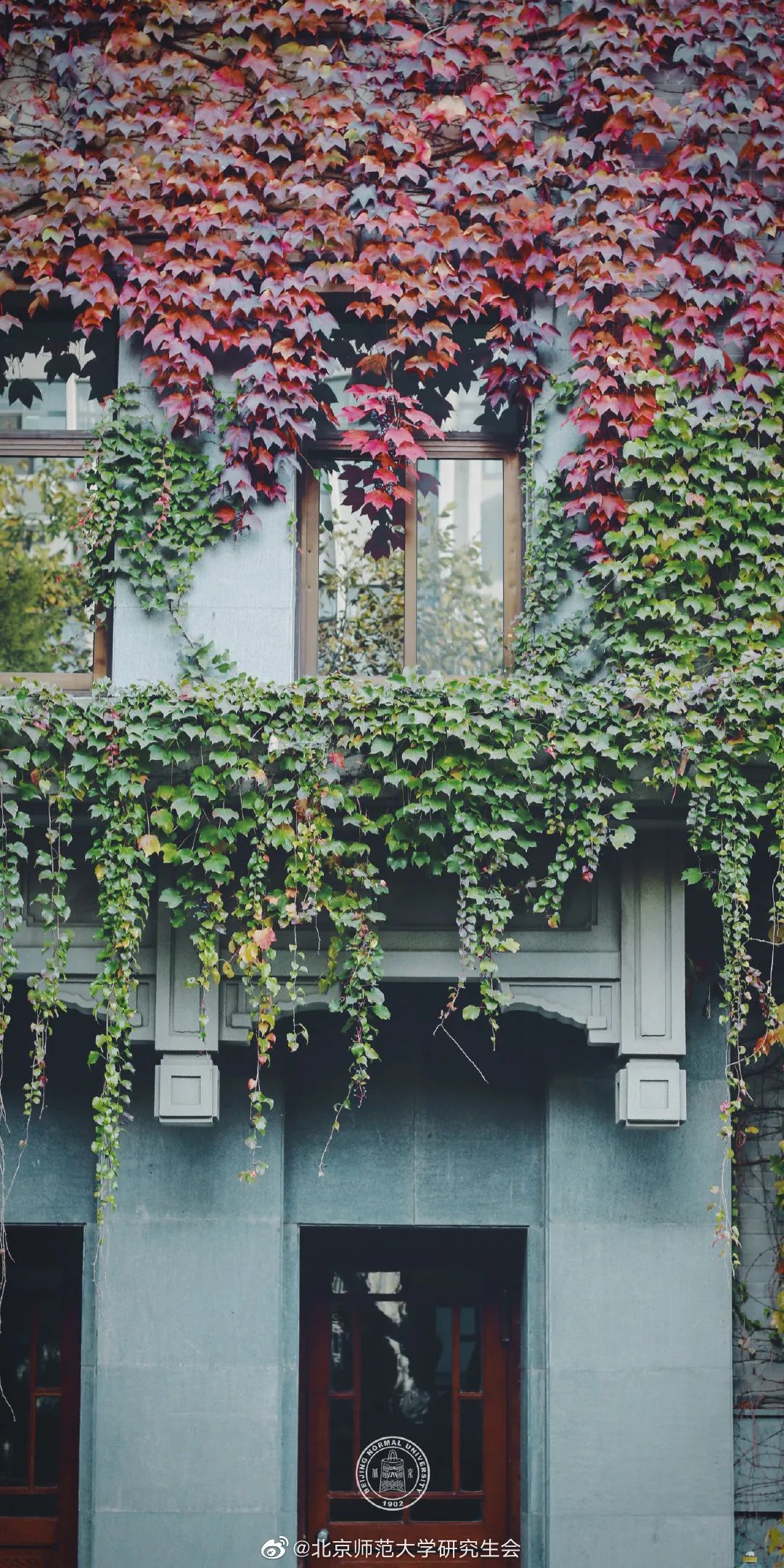 大学|高校“官宣”秋景来了，有你的校园记忆吗？