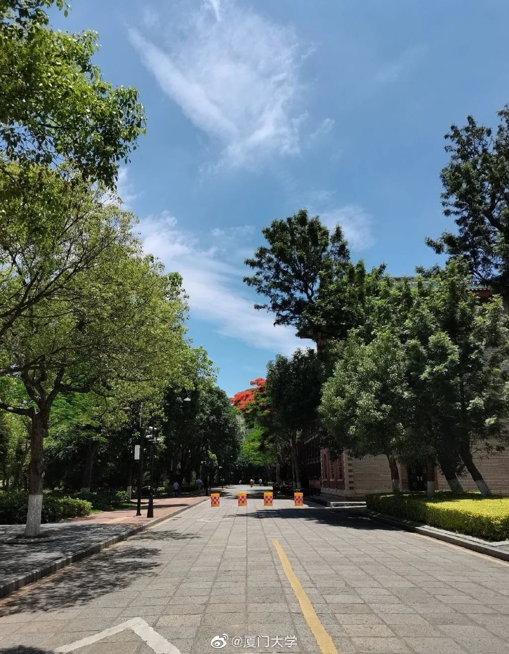 大学|高校“官宣”秋景来了，有你的校园记忆吗？