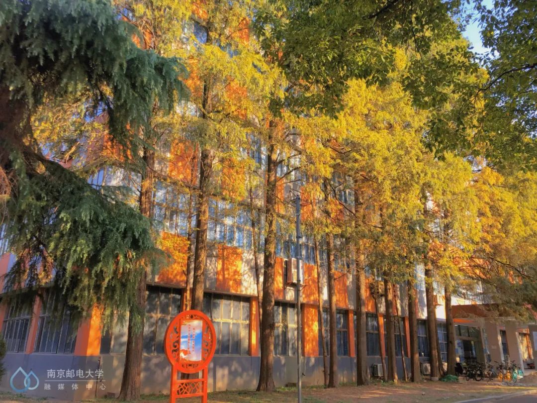 大学|高校“官宣”秋景来了，有你的校园记忆吗？