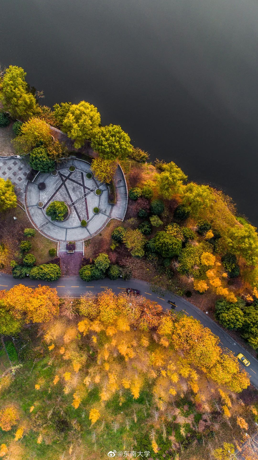 大学|高校“官宣”秋景来了，有你的校园记忆吗？