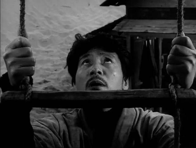 社会|豆瓣8.5《砂之女》：那些杀不死我们的，终将让我们的内心更强大