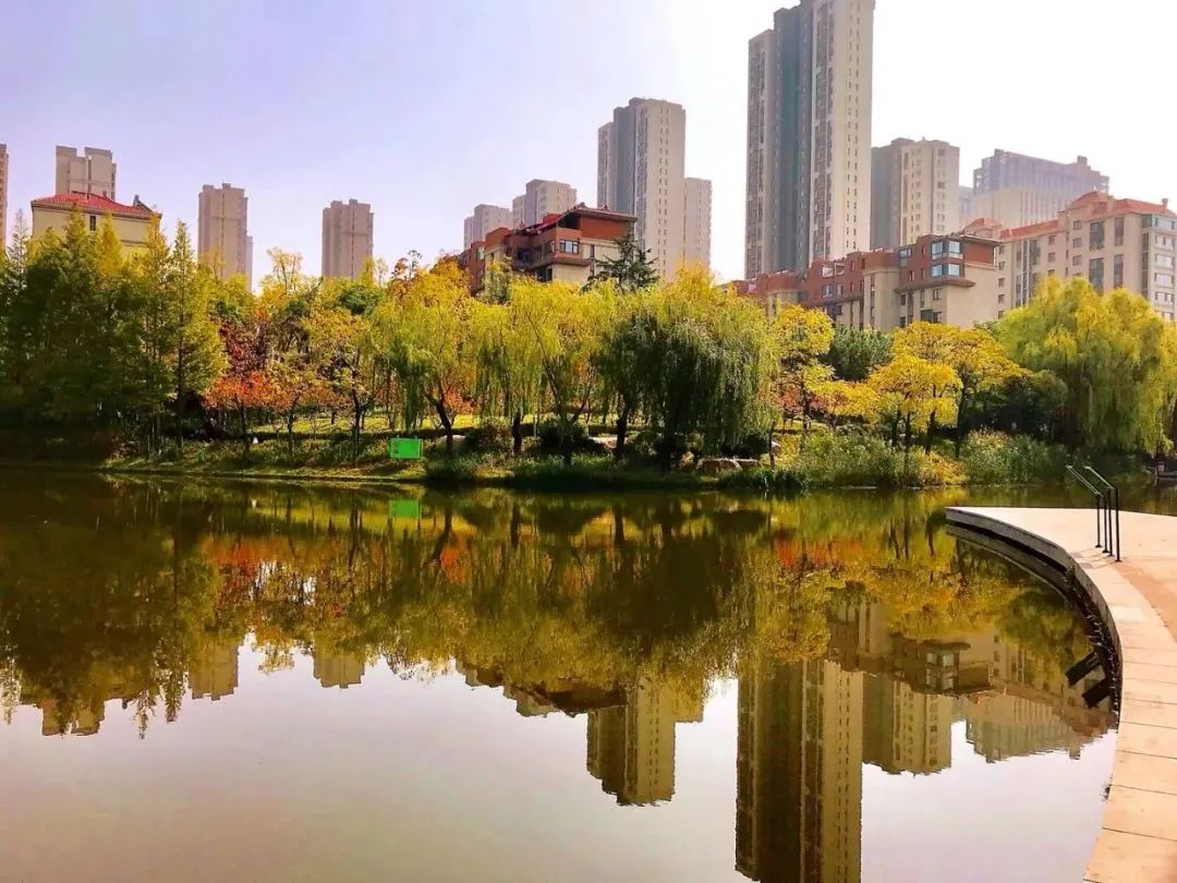 宜居李沧一页秋景定格李沧秋日时光