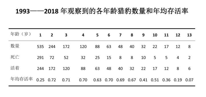 老虎|把狮子、老虎、猎豹关在一起，谁会首先淘汰？谁会最终胜出？