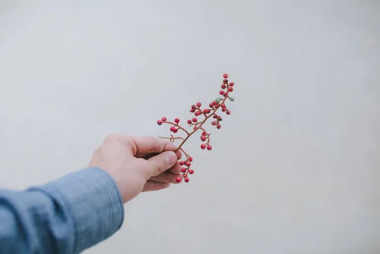 亲子成长|如何养好一个孩子？3岁立恩，6岁立威，12岁立价值｜精选