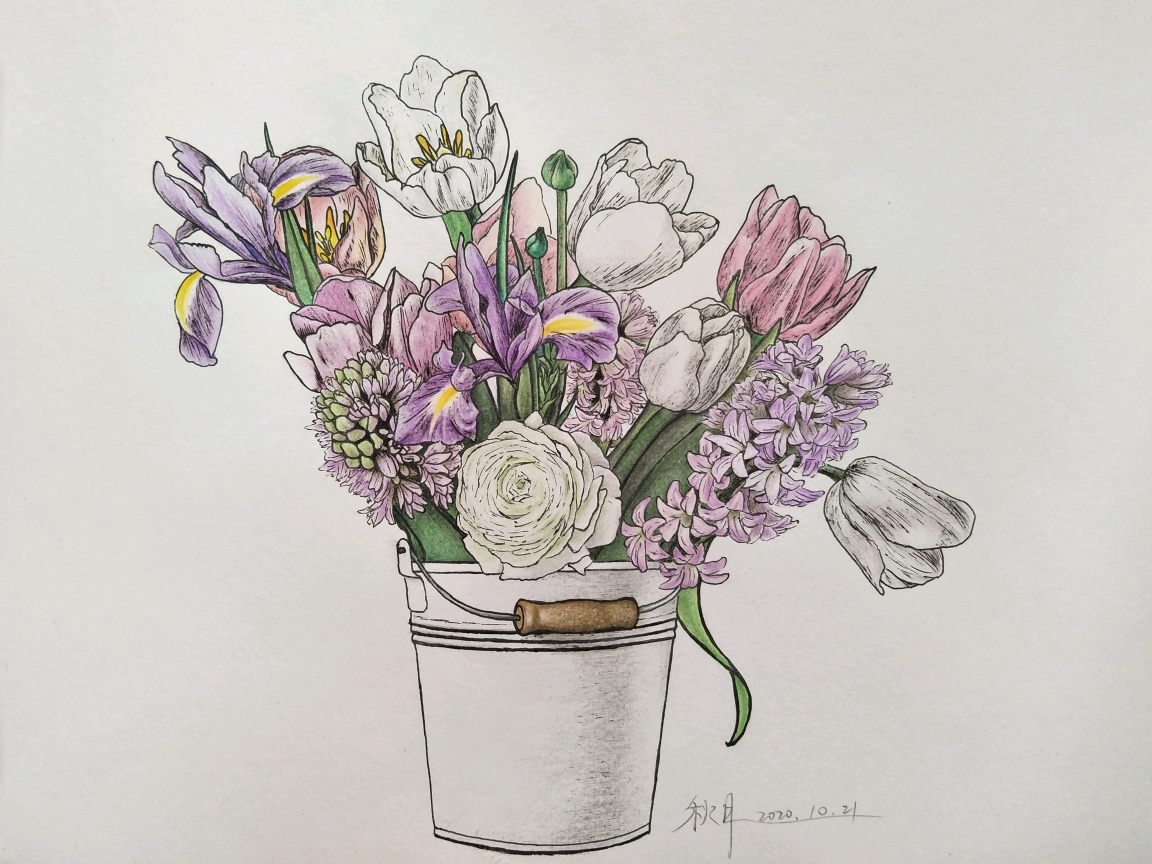 彩铅线描花卉紫色调插花组合
