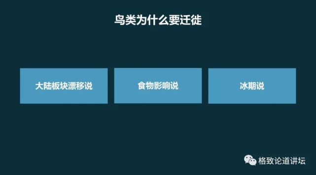 鸟类迁徙|有时，一个晚上最多可以发现5亿只鸟类在天空中迁徙