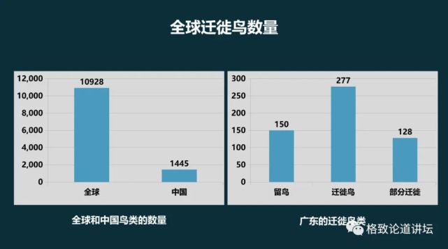 鸟类迁徙|有时，一个晚上最多可以发现5亿只鸟类在天空中迁徙