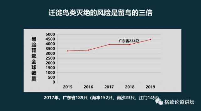 鸟类迁徙|有时，一个晚上最多可以发现5亿只鸟类在天空中迁徙