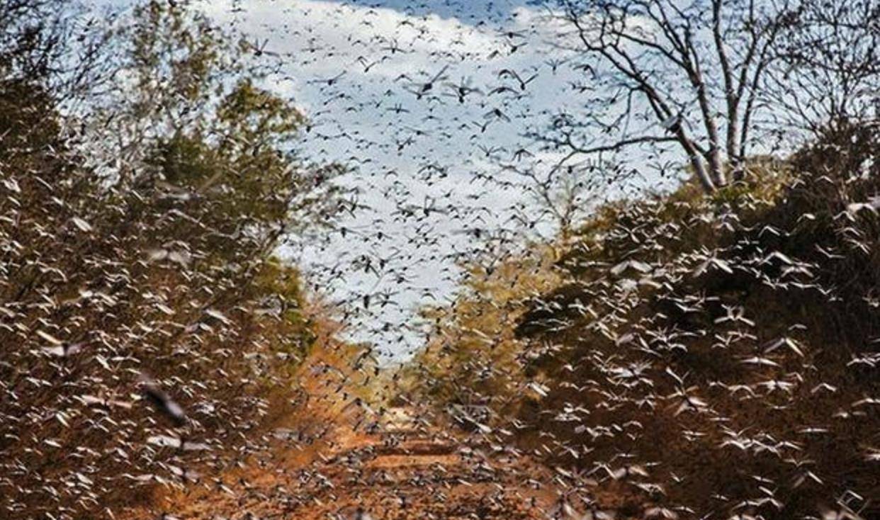 科学|为什么2020年人类如此多灾多难，这一切能用科学解释吗？