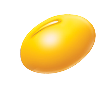 国际|科普｜谁给大豆染上烟熏妆