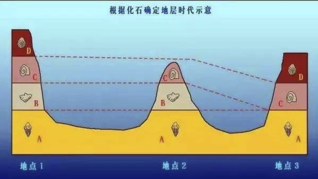科学|地球一共经历过几次文明？