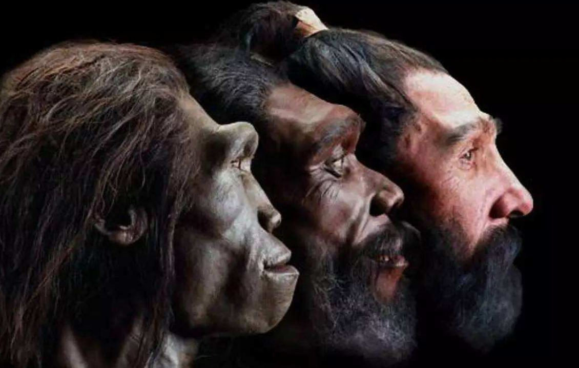 地球上第一个人类是怎么出现的？