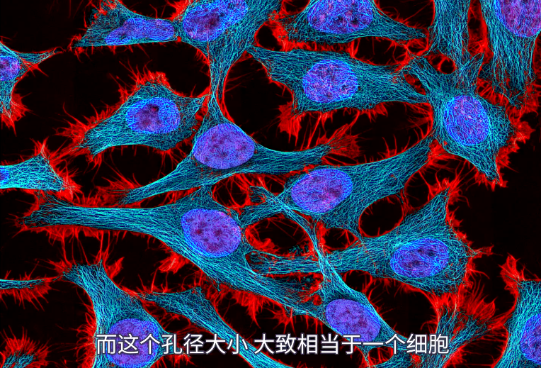 科学|地球最初并没有生命，那第一个地球生命是怎么来的？