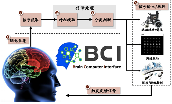 脑机接口|脑机接口真的来了吗，距离《猩球崛起》会有多远？