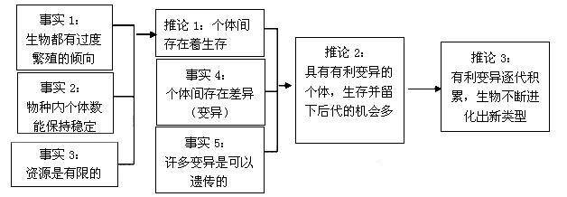 科学|为什么许多雄性的生殖器官和排泄器官是同一个？