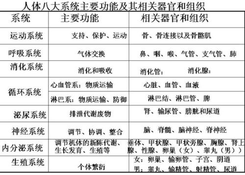科学|为什么许多雄性的生殖器官和排泄器官是同一个？