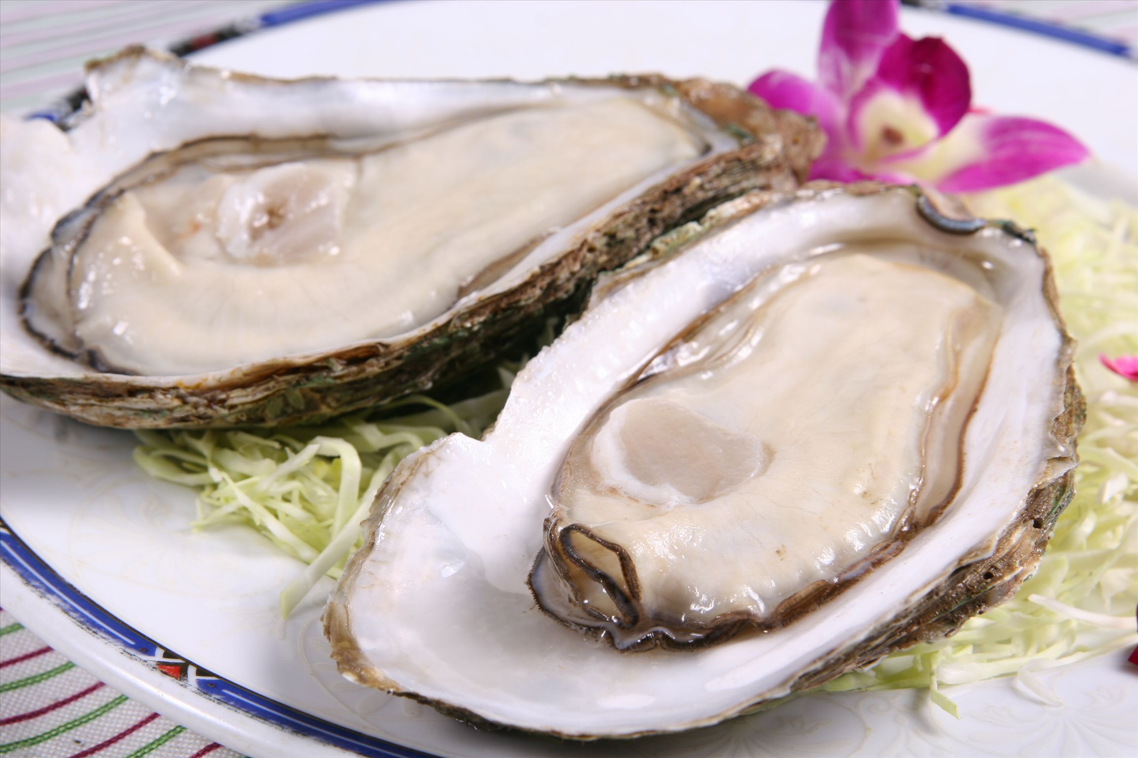 牛奶生蚝别烤着吃了这样做出来的生蚝比猪脑还好吃