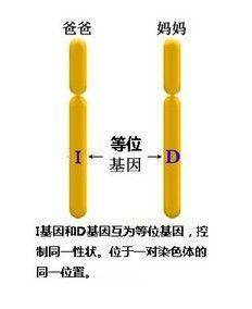 科学|黑人需要多少代混血，才能完全拥有白人特征？